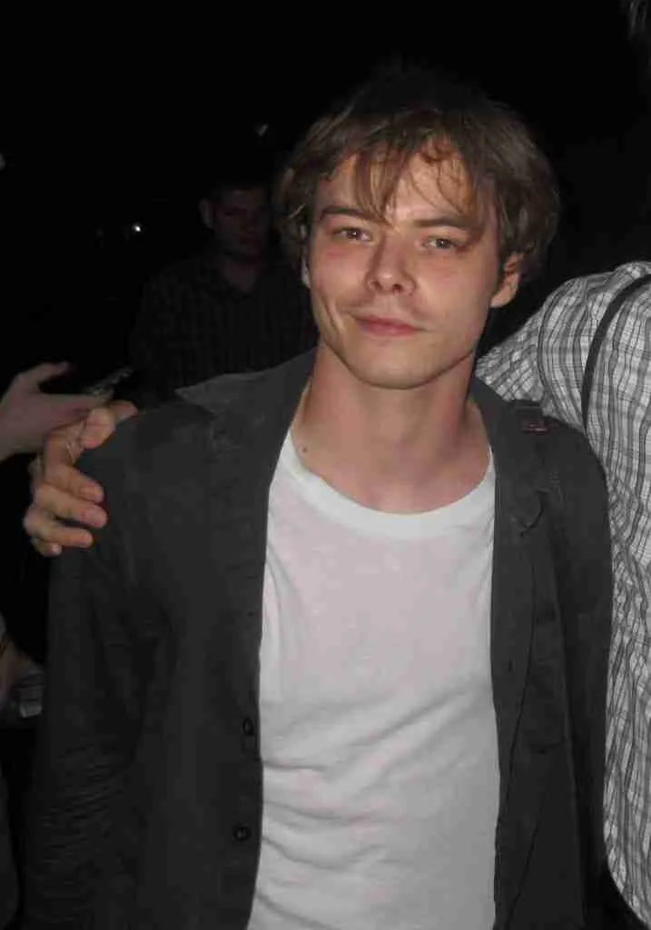 Charlie heaton from stranger things