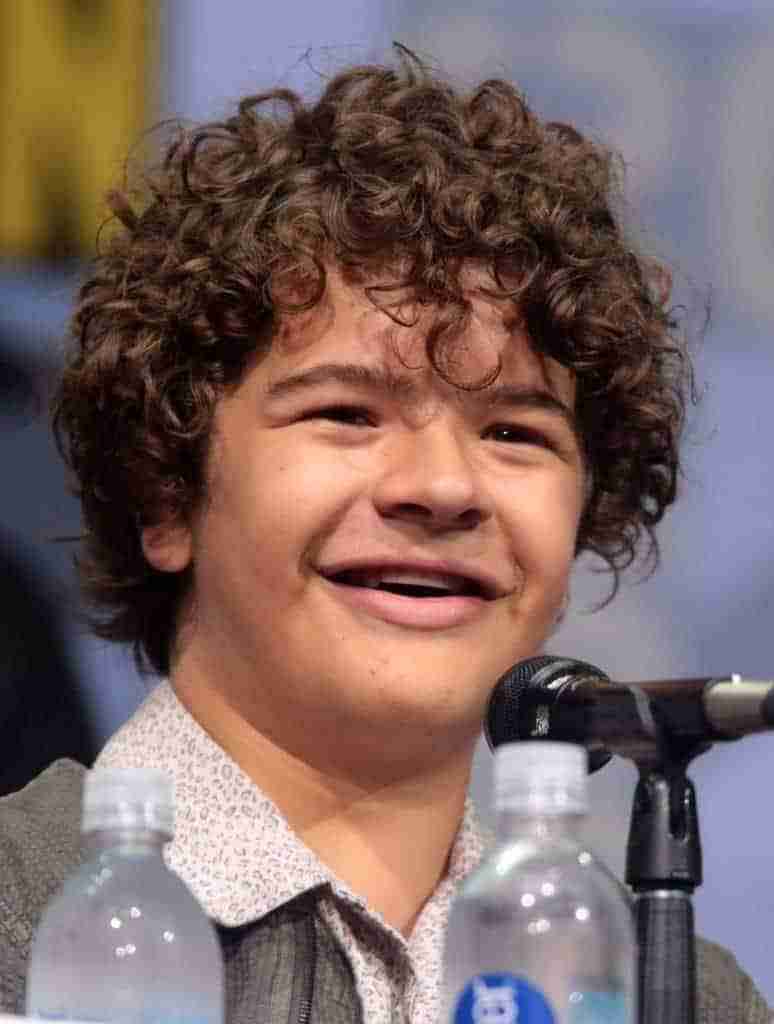 Stranger Things Recap | Season 1,2,3 13 Gaten Matarazzon from stranger things