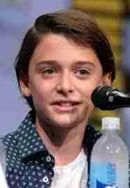 Noah schnapp from stranger things