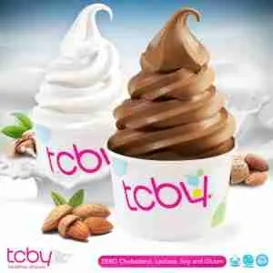 TCBY Yogurt from the 80s 