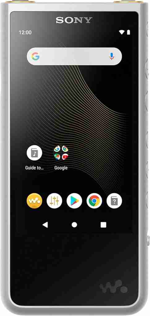Sony Walkman NW-ZX507