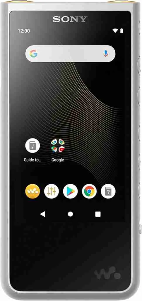 Sony Walkman NW-ZX507